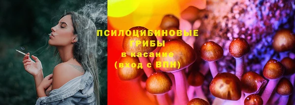 ПСИЛОЦИБИНОВЫЕ ГРИБЫ Наволоки