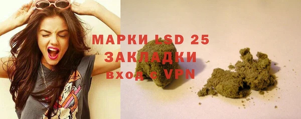 крисы Михайловск