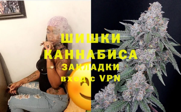ПСИЛОЦИБИНОВЫЕ ГРИБЫ Наволоки