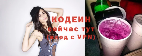 гашик Михайлов