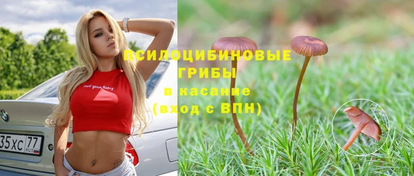 крисы Михайловск