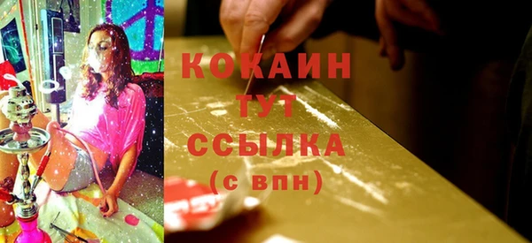 крисы Михайловск