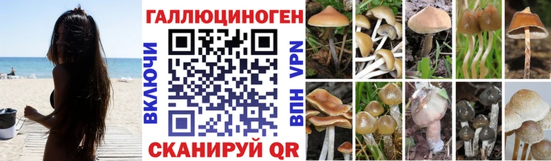 ссылка на мегу зеркало  цена   Новоульяновск  Галлюциногенные грибы прущие грибы 